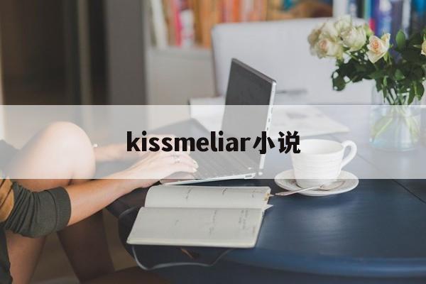 kissmeliar小说(kiss me liar 小说在线阅读)
